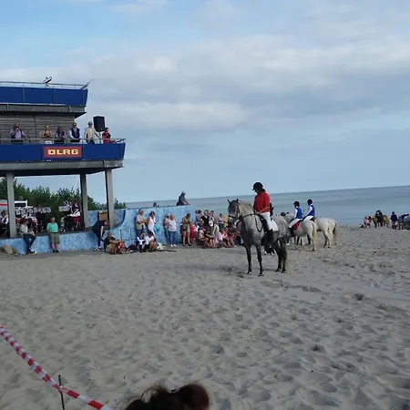 Rosa Canina, W3 Kellenhusen